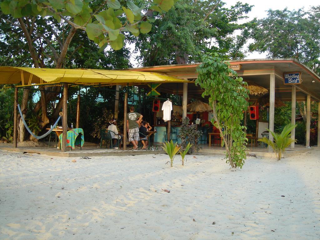 Whistling Bird Hotel Negril Exterior foto