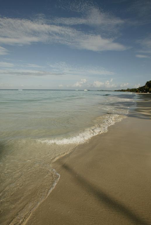 Whistling Bird Hotel Negril Exterior foto